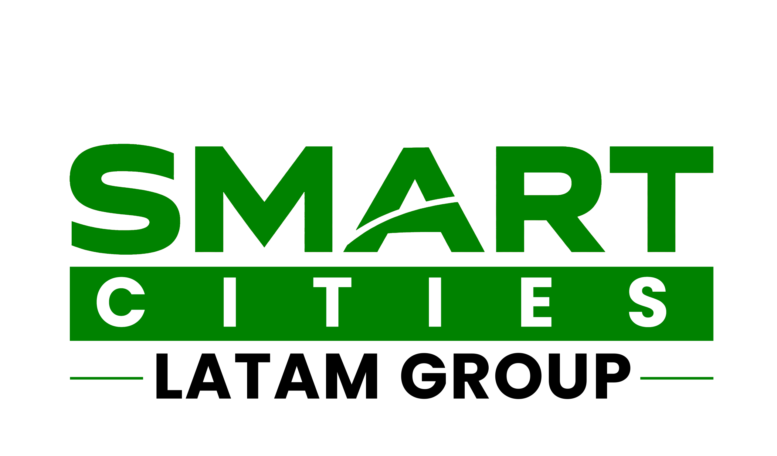 Organizador 1