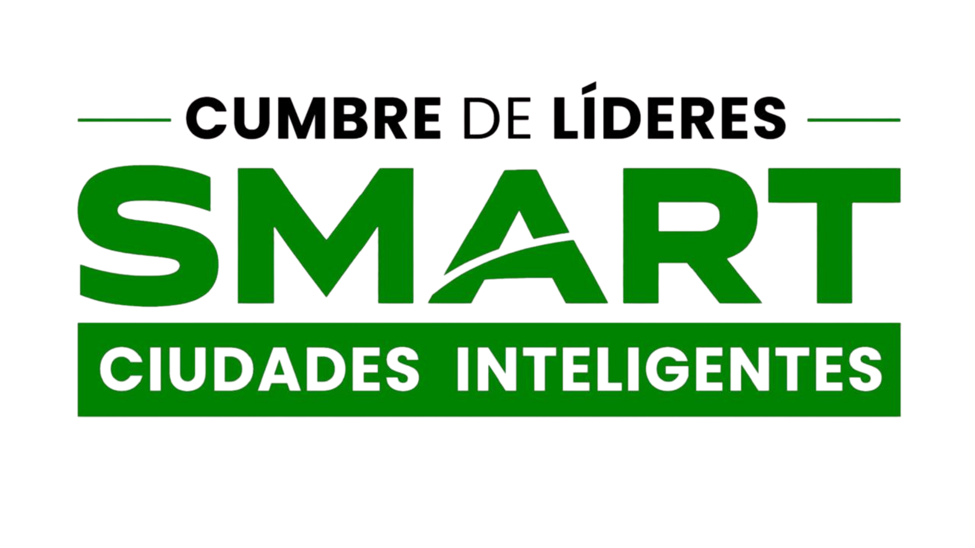 Organizador 1