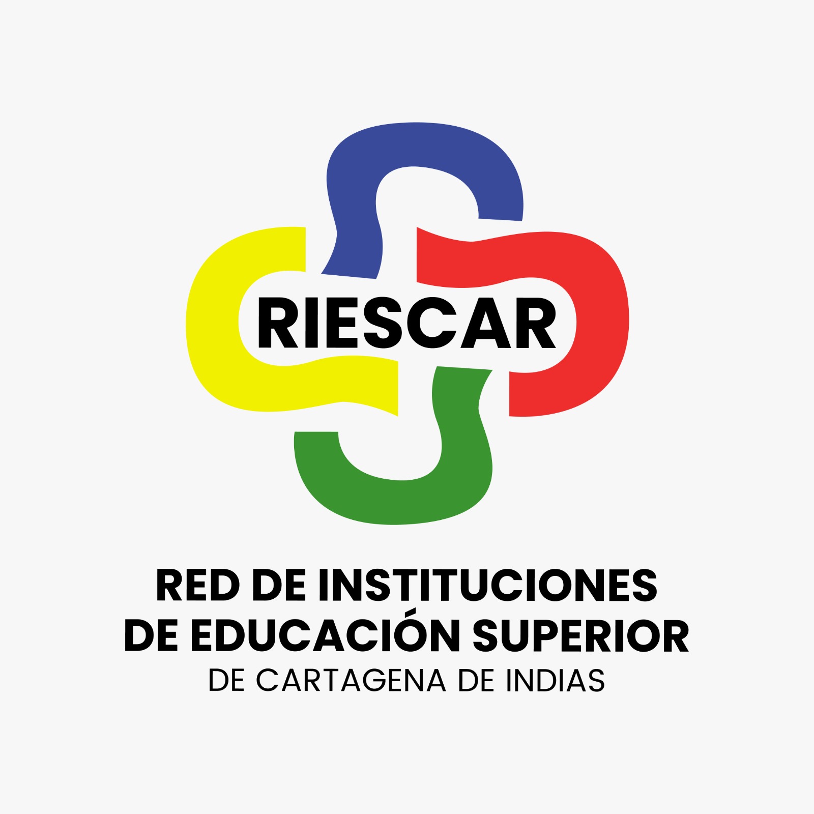 Organizador 2